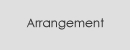 Arrangement / ����󥸥���